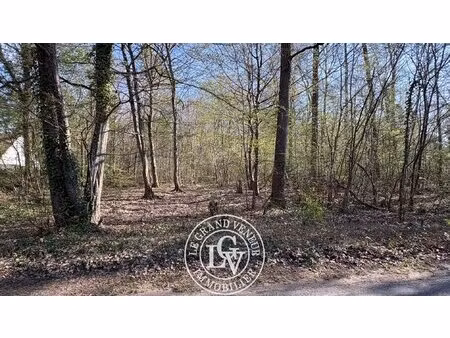 milly la forêt- unique sur le secteur -terrain constructible de 3790m² - plat- 37m de faça