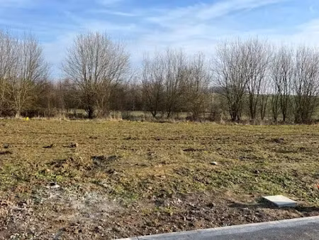 vente terrain 436 m² à curgies (59990)  76 900 €