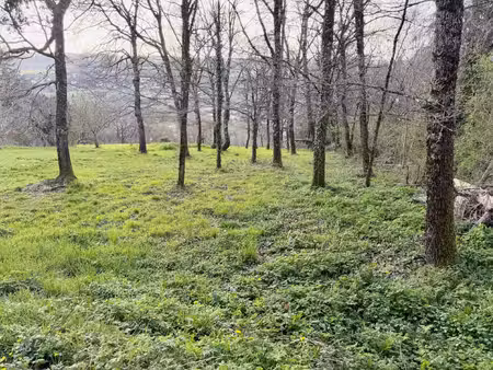terrain de loisirs 1825 m2