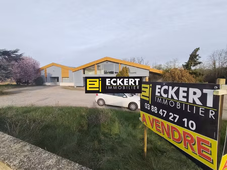 odratzheim  immeuble de 900 m² hab. sur un terrain de 43 ares