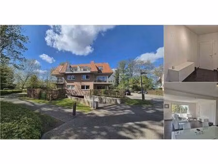 penthouse à louer à biezeweg 4c wetteren (rbv70266)