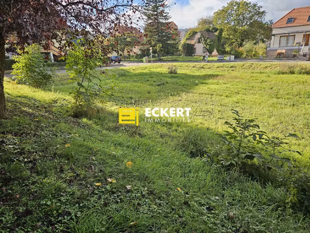 terrain - 368 m²