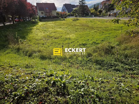terrain - 421m²