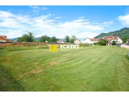 6 60 ares à gresswiller  beau terrain plat et viabilisé d'envi