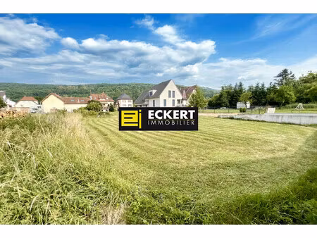 600 m² a gresswiller  beau terrain plat et viabilisé d'environ