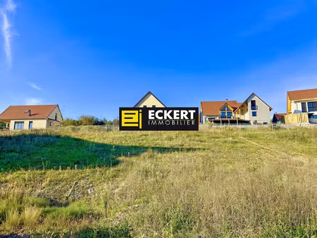 a rosenwiller   terrain de 6 ares