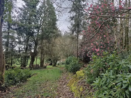 vente terrain 80054 m² à torigni-sur-vire (50160)  245 000 €