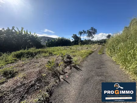 vente terrain 300 m² à saint benoit (97470)  98 000 €