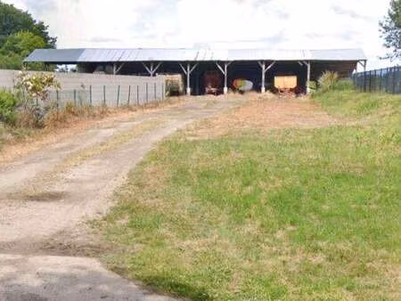 vente terrain à squiffiec (22200) : à vendre / 3092m² squiffiec