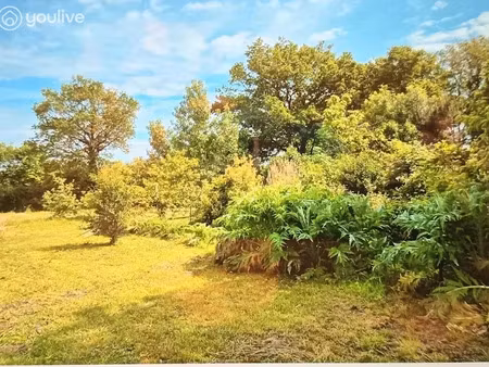 vente terrain 969 m² à grosbreuil (85440)  100 000 €