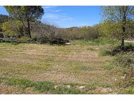 vente terrain 1050 m² à saint-maximin-la-sainte-baume (83470)  145 000 €