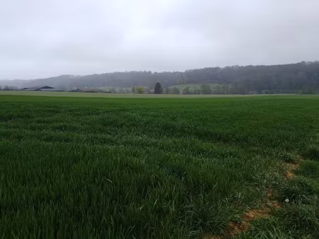 vente terrain 190000 m² à saint-mard-de-réno (61400)  190 000 €