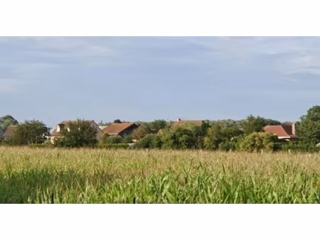 vente terrain 579 m² à hantay (59496)  204 000 €