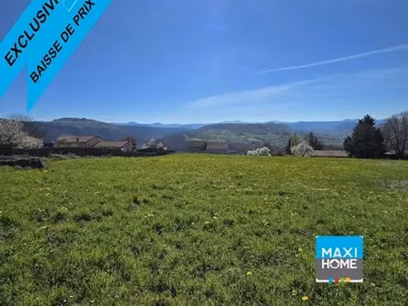 vente terrain 5000 m² à polignac (43000)  200 000 €