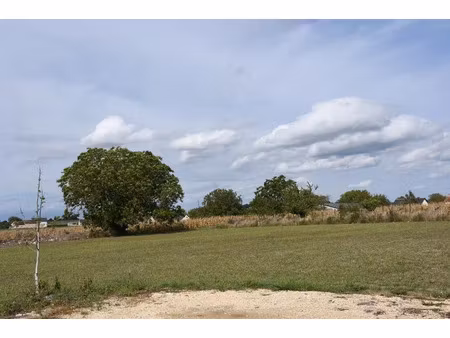 vente terrain 7800 m² à la celle-saint-avant (37160)  272 000 €