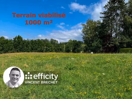 vente terrain 1000 m² à allonzier-la-caille (74350)  398 000 €