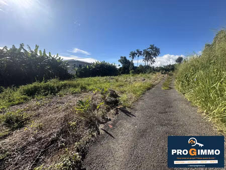 plusieurs parcelles a vendre st benoit