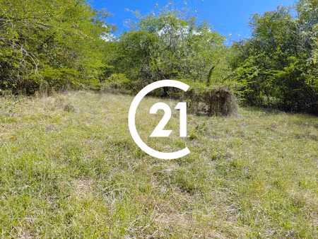 schoelcher  la colline  terrain à bâtir