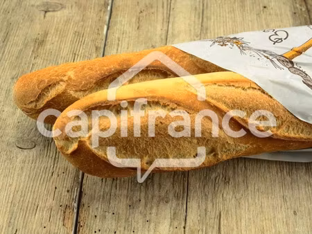 vente locaux professionnels 10 pièces 250 m² à le may-sur-evre (49122)  123 200 €