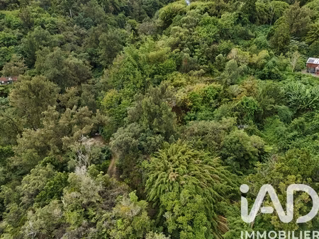 vente terrain à bâtir 1 250 m²