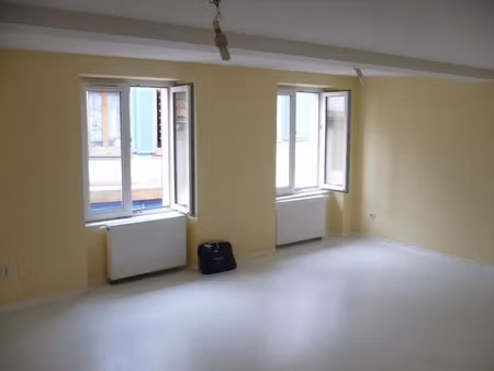 location appartement 2 pièces 54 m² à wasselonne (67310)  595 €