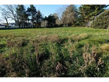vente terrain à sarzeau campagne-atlantique (56370) : à vendre / 1151m² sarzeau campagne-a