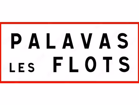 local commercial - face mer