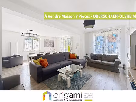 a vendre maison 7 pièces oberschaeffolsheim