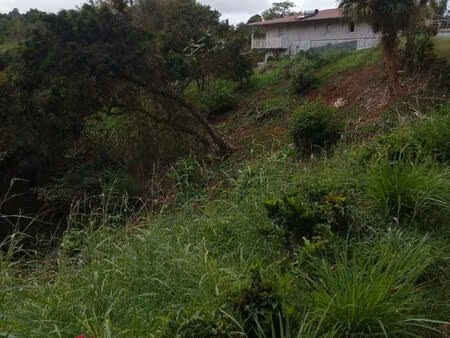 urgent à vendre terrain de 1732 m² à st esprit