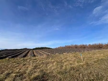 terrain constructible viabilisé à vendre