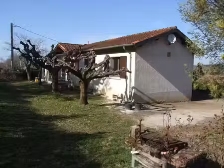 location maison 6 pièces 134 m² à labruguière (81290)  890 €