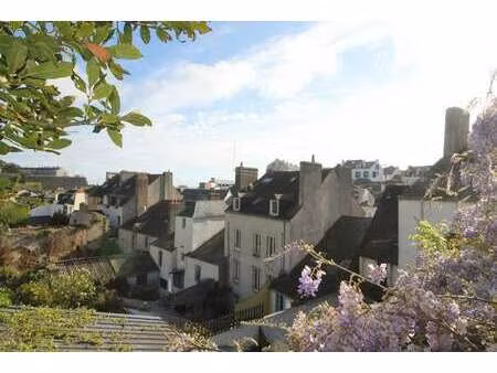 vente maison au palais (56360) : à vendre / 250m² le palais