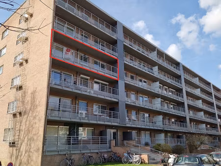 appartement à louer à hasselt € 825 (ln8pu) - dewaele - hasselt verhuur | zimmo