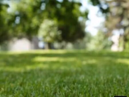 terrain 900 m² sommery