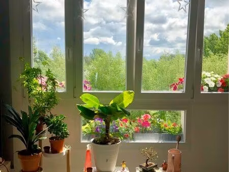 appartement 68m2 verdoyant quartier château flers lumineux et toutes commodité