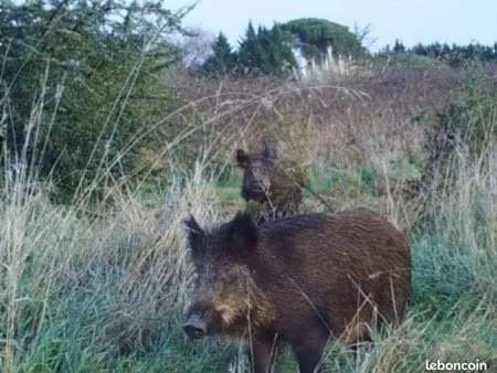recherche terrain agricole friches bois
