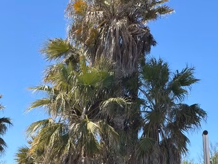 maison 3 chambres minimum