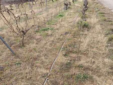 vente terrain agricole 65 360 m²