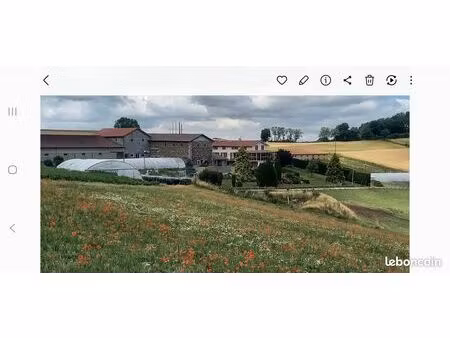 vends maison et terrains