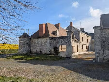 vente maison 7 pièces 200 m² pouzay (37800)