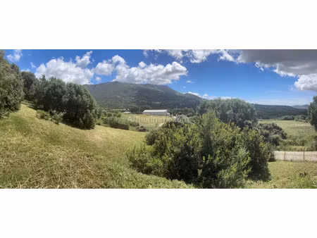 vente terrain 988 m2 à peri