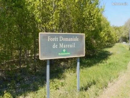 parcelle boisée