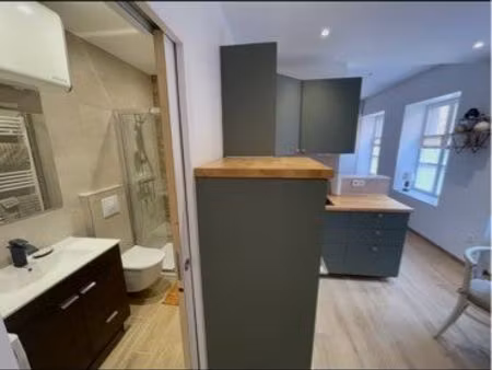 très beau t1 centre ville