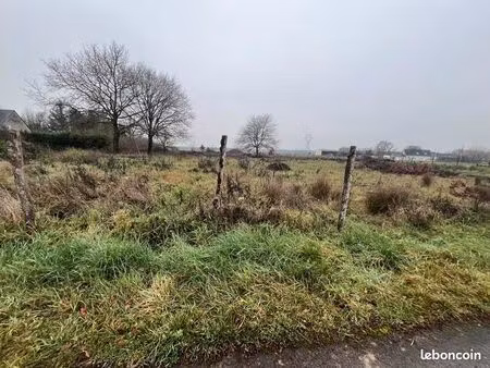 terrain 7 421 m² rouziers de touraine