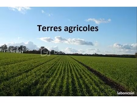 terrain sort en chalosse