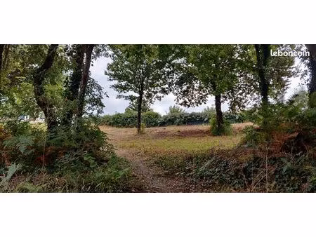 terrain viabilisé constructible