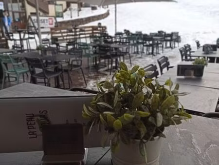 brasserie restaurant