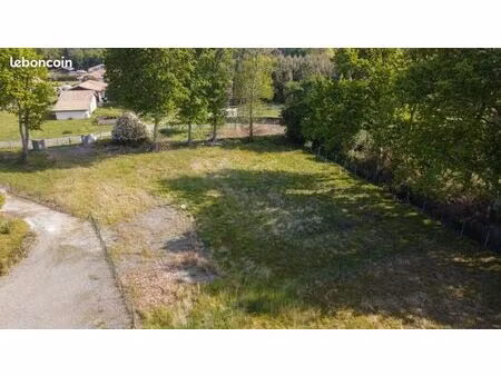 terrain 1619 m² lit et mixe