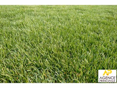 terrain conflans sainte honorine 1100m2