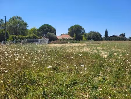 terrain constructible